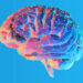 Regular exercise leads to improved performance on cognitive tests in overweight children