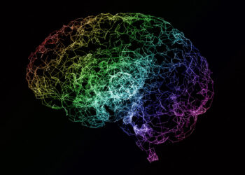 Neuroimaging study indicates bariatric surgery can reverse the accelerated brain aging caused by obesity