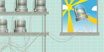 Can Lab-Grown Brains Become Conscious?