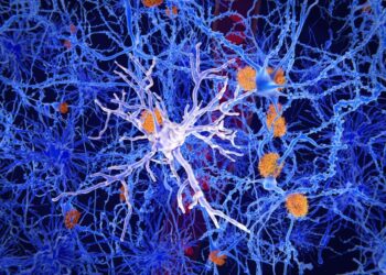 The roles of innate and adaptive immunity in Alzheimer’s disease development and progression