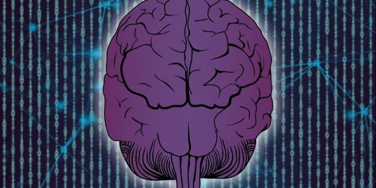 Breathing May Measurably Modulate Neural Responses Across Brain