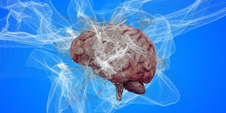 Educational Background and Previous Brain Injury May Be Associated With Higher Risk of Frontotemporal Dementia