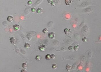 Control Hub for Skin Inflammation Discovered