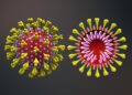 New Research Reveals That COVID Virus Alters RNA in Infected Cells