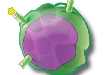 CAR-T-Cell Shows Promise in Patients With Lymphoma of the Brain and Spinal Cord in Early Trial