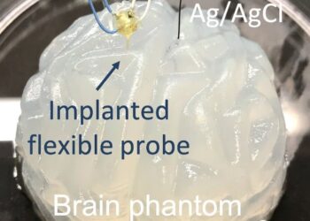 Soft Brain Probe Could Be a Boon for Depression Research