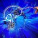 Harnessing the Brain’s Immune Cells to Stave off Alzheimer’s and Other Neurodegenerative Diseases