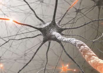 Extreme excitability of a specific type of neuron linked to sleep problems in mice, study finds