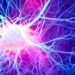 Predicting Dementia Using Neural Network Characteristics
