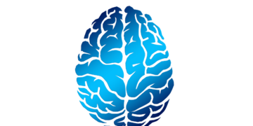 Key Alzheimer’s Risk Factors Affect Men More Than Women