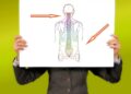 Spinal Cord Injury: Can Brain and Nerve Stimulation Restore Movement?