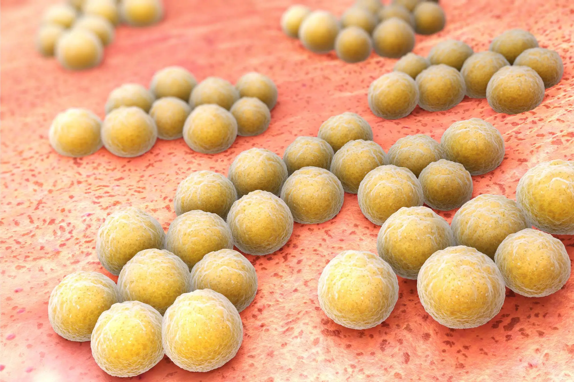 A New Hope for Sepsis Treatments: Anticancer Drugs