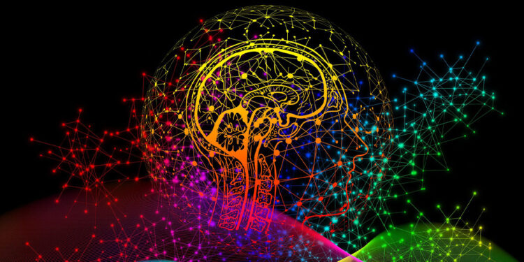 Researchers identify a potential neural signature of social belonging