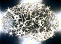 When Chronic Stress Activates These Neurons, Behavioral Problems Like Loss of Pleasure and Depression Result