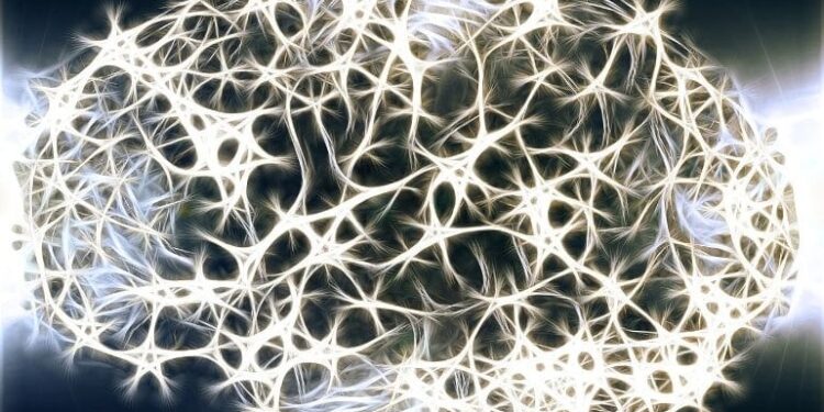 When Chronic Stress Activates These Neurons, Behavioral Problems Like Loss of Pleasure and Depression Result