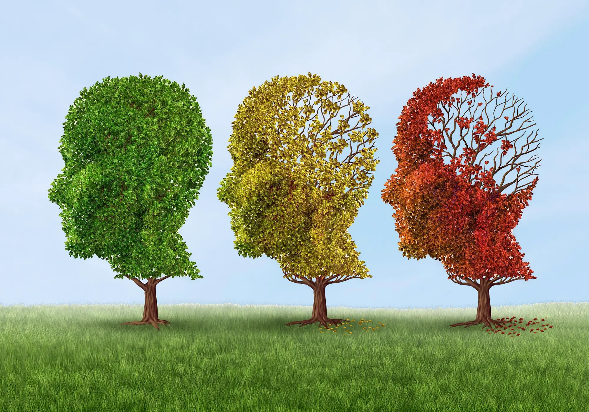 Machine Learning Models Rank Predictive Risks for Alzheimer’s Disease