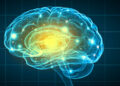 New psychology research sheds light on the cognitive mechanisms underlying loneliness