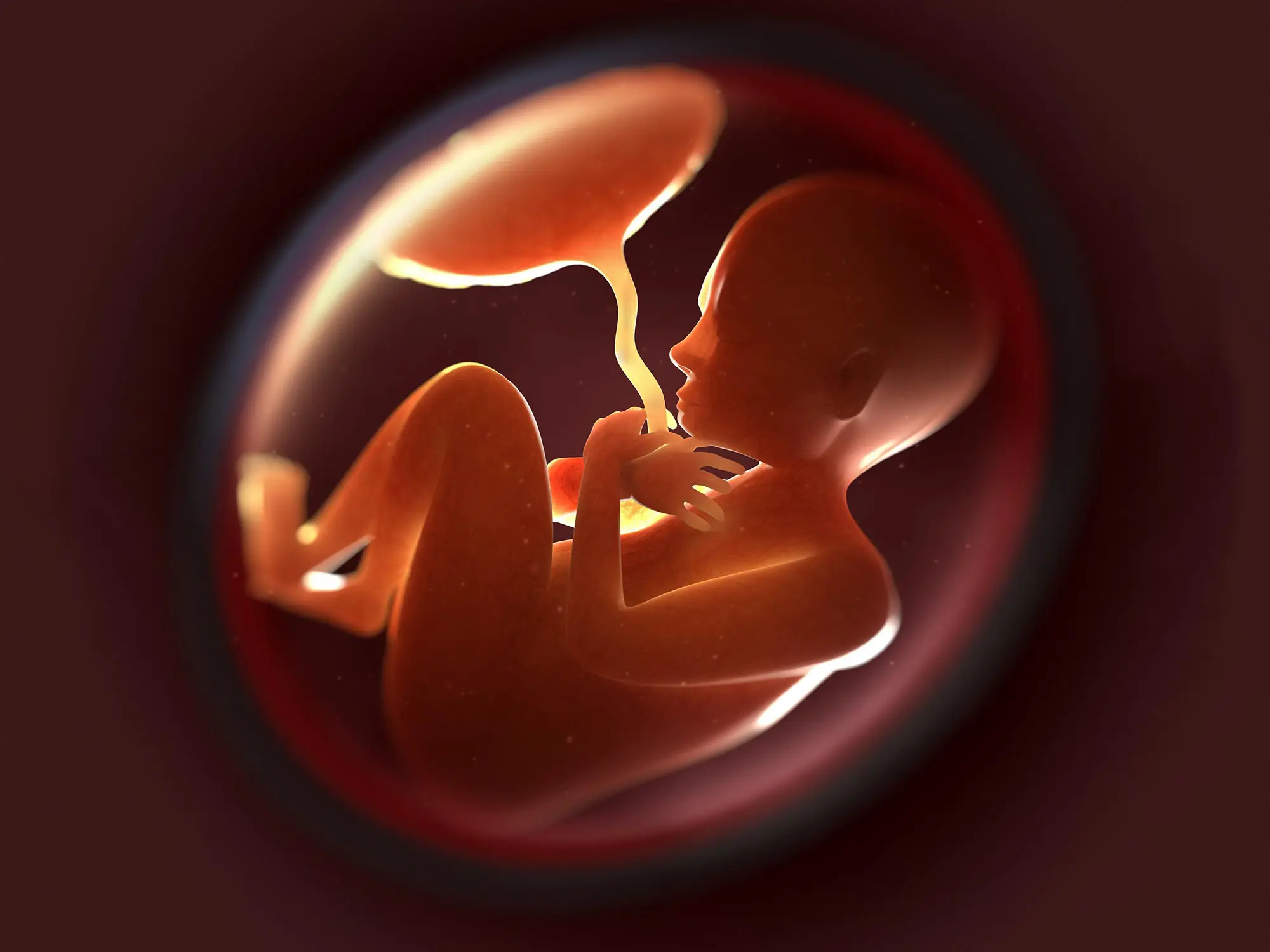 First-of-Its-Kind, In-Utero Procedure To Fix Deadly Vascular Malformation