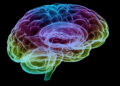 Psychopathic women show reduced structural integrity in brain region linked to emotional responses