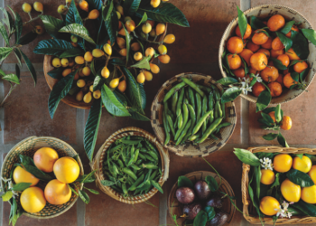 These 10 Foods Will Boost Your Brain Health, Says a Nutritionist