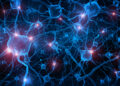 Unraveling the complex web of synchrony in networks
