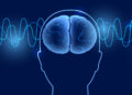 Paranormal believers tend to have altered brainwave patterns and reduced cognitive control compared to skeptics