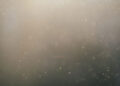 Do At-Home Mold Testing Kits Really Work?