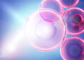 A new way to see the activity inside a living cell