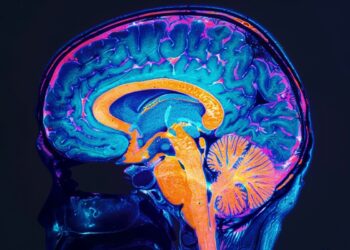 Antidepressants Impact Brain Development – Neuroscience News