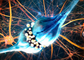 Neuroscientists reveal how dopamine and serotonin shape our social decisions in new breakthrough