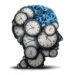 The brain runs an internal simulation to keep track of time