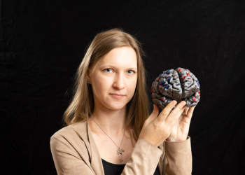 Researchers reveal roadmap for AI innovation in brain and language learning