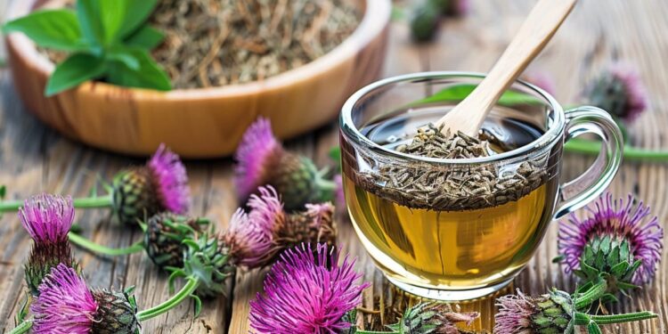 Blessed Thistle Enhances Nerve Regeneration
