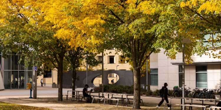 School of Science announces 2024 Infinite Expansion Awards