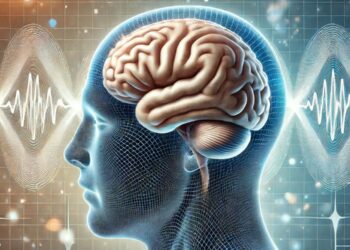 Neuroscientists link daydreaming to “sharp-wave ripples” in the brain
