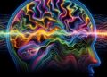 Neurocognitive study shows how negative biographical details influence art perceptions