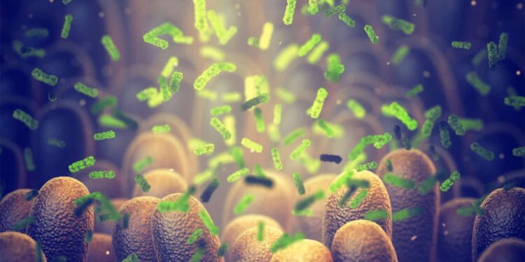 Gut-brain axis appears to play a critical role in aggression