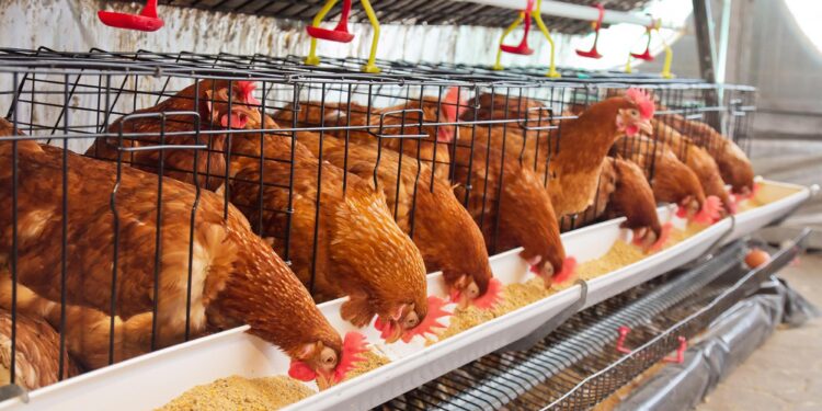 Washington Farm Workers Hit by Human Infections