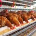 Washington Farm Workers Hit by Human Infections