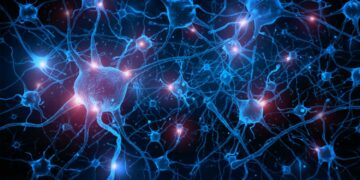 Neurons treat ‘nothing’ as a number, study shows