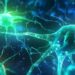 Neuroscientists shed light on key aspect of language comprehension