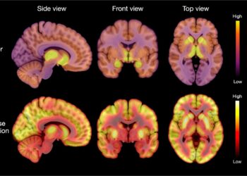 Scientists Discover Key Brain Mechanism Behind Anorexia