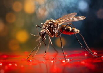 NIH Scientists Discover Game-Changing Antibodies Against Malaria