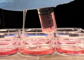 Neuroscientists just discovered memory processes in non-brain cells