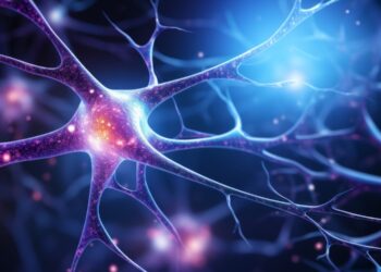 Stress reshapes fear memories via the brain’s endocannabinoid system