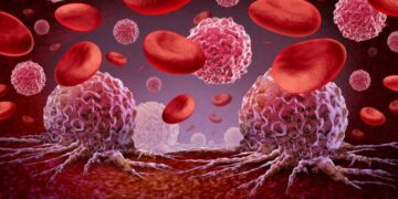 Scientists Discover a Hidden Way T Cells Attack Leukemia